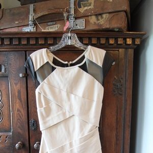 Arden B Mini Dress, Sheer zip back dress